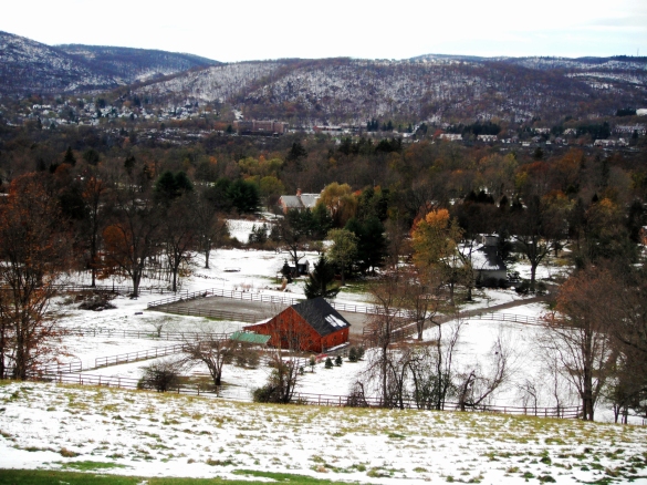 Snowy blanketed Autumn hillside